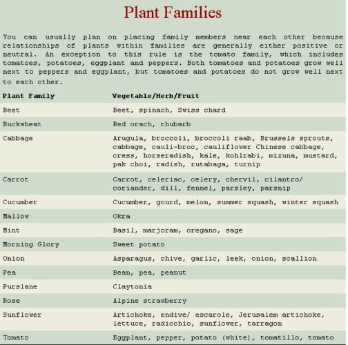 Plant Families
